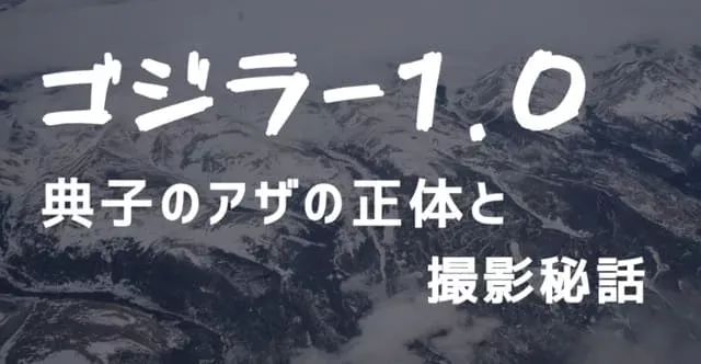 ゴジラ-1.0の典子のアザの正体